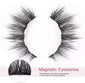 Liquid Eyeliner Magnetic False Eyelashes Set  Five Pairs Of Glue-free Magnetic Eyelashes